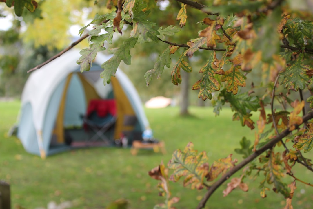 Oplev den perfekte campingferie på Ribe Camping